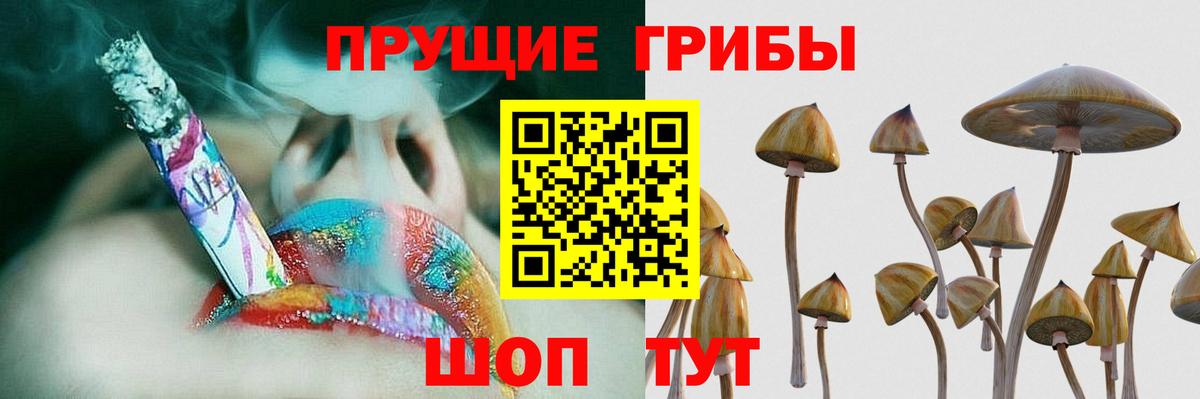 что такое   Вход с VPN  Углич  Псилоцибиновые грибы ЛСД 